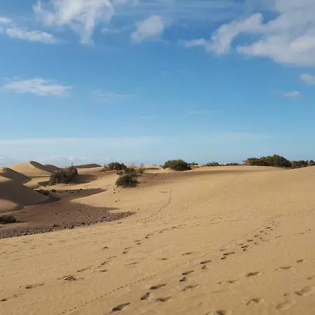 En ماسبالوماس