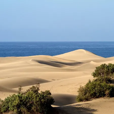 بيت للعطل En ماسبالوماس