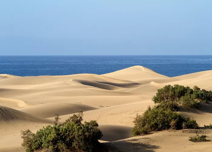 Hébergement de vacances En Maspalomas (Gran Canaria)